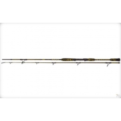 BLACK CAT LIGHT SPIN